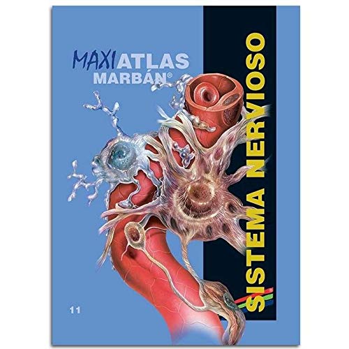Maxi Atlas 11 Sistema Nervioso